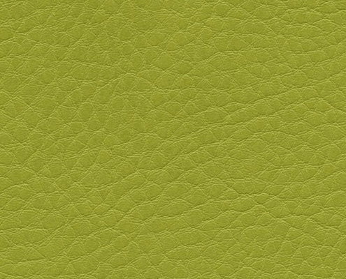 skai® Parotega NF limone Kunstleder Berlin