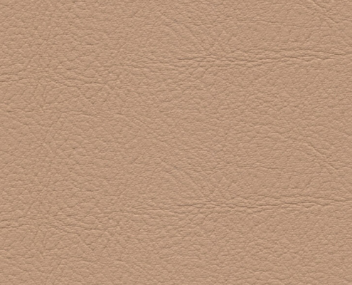 skai® Evida come closer! F6800086