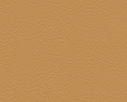 skai® Evida gobi F6800084