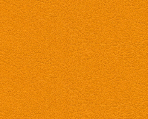 skai® Evida mango F6800085