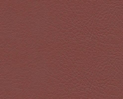 skai® Evida merlot F6800083