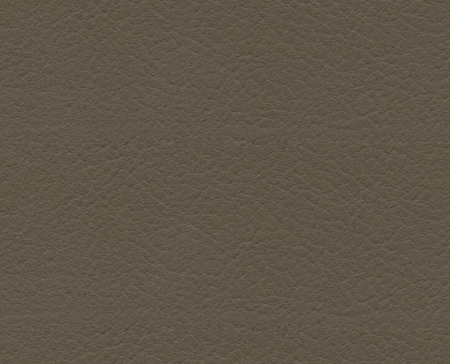 skai® Evida olivebrown F6800075