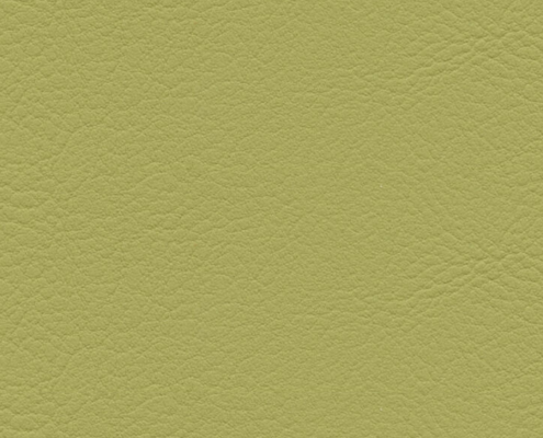 skai® Evida olivegreen F6800080