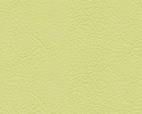 skai® Evida reed F6800079
