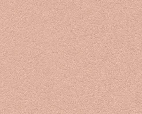 skai® Evida rosé F6800081