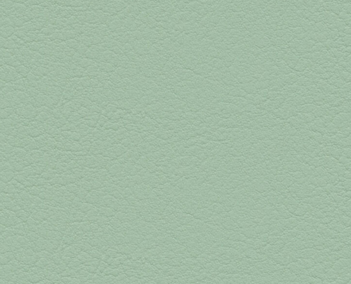 skai® Evida sage F6800077